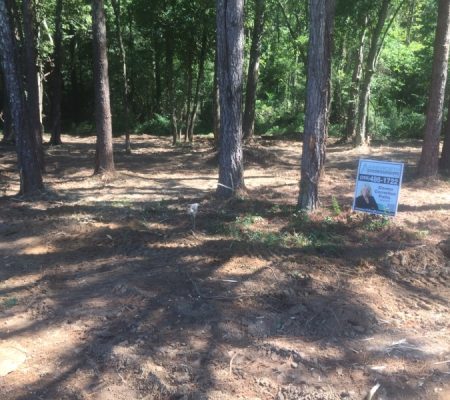 properties for sale Alabama