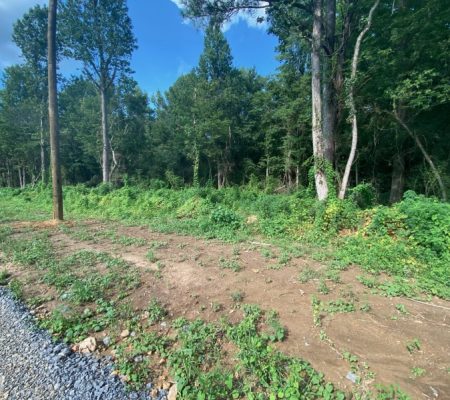 properties for sale Alabama